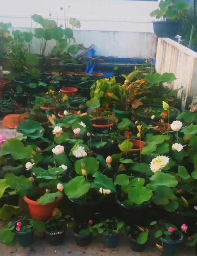 Raelyn'S Homestay Kochi 外观 照片