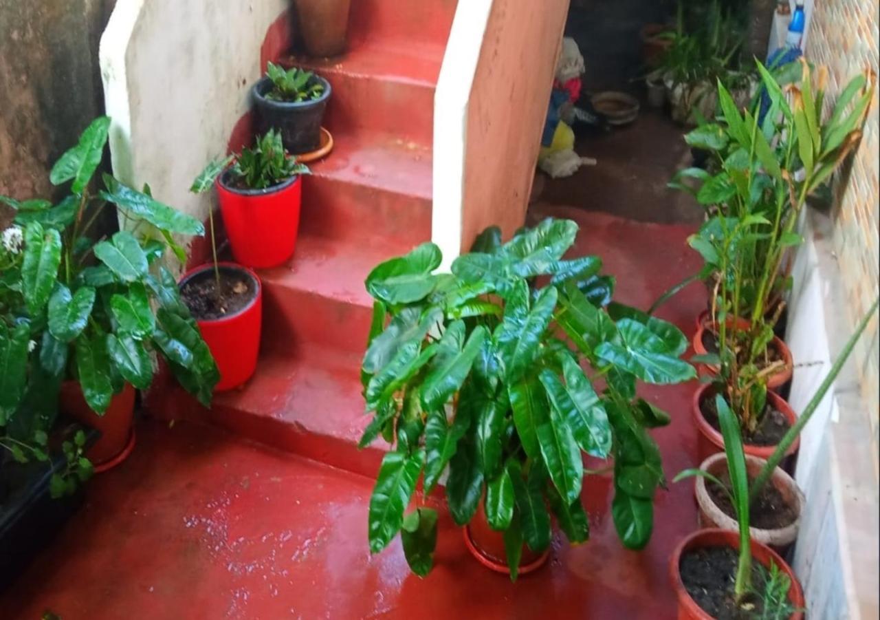 Raelyn'S Homestay Kochi 外观 照片
