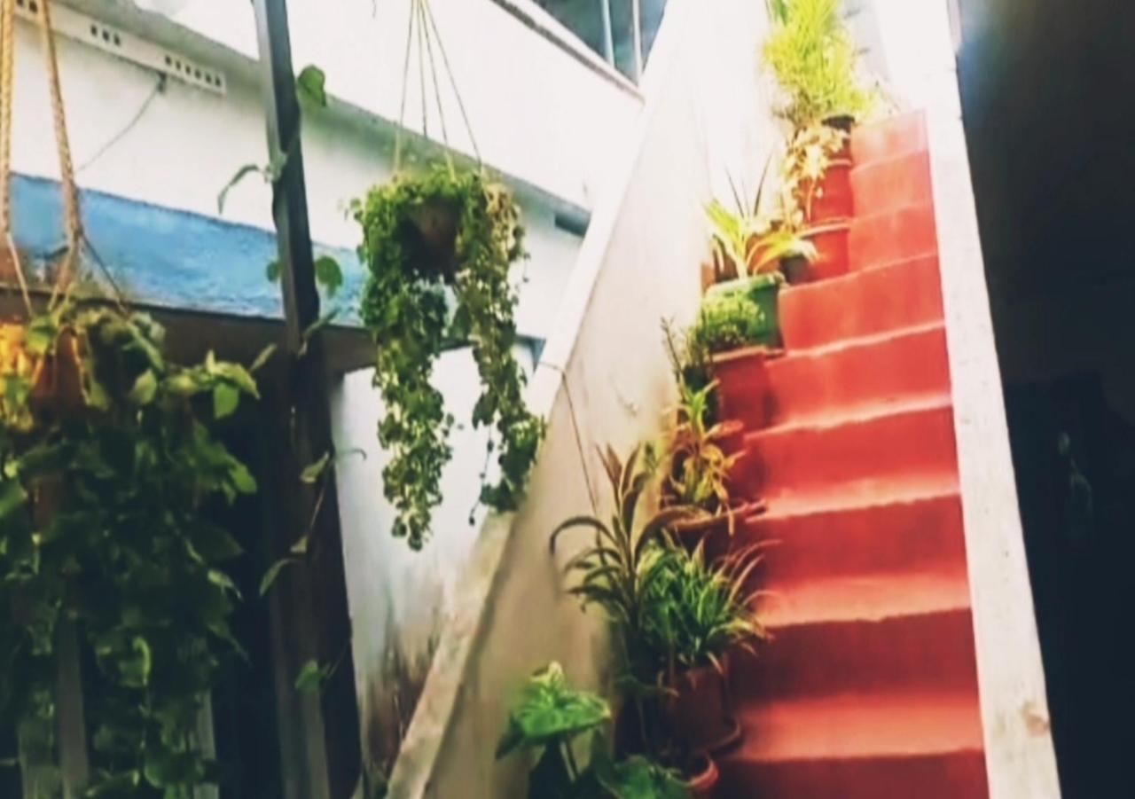 Raelyn'S Homestay Kochi 外观 照片